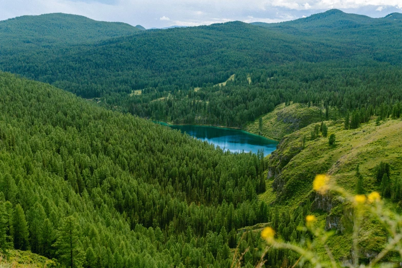 there is a pond in the middle of a green mountain