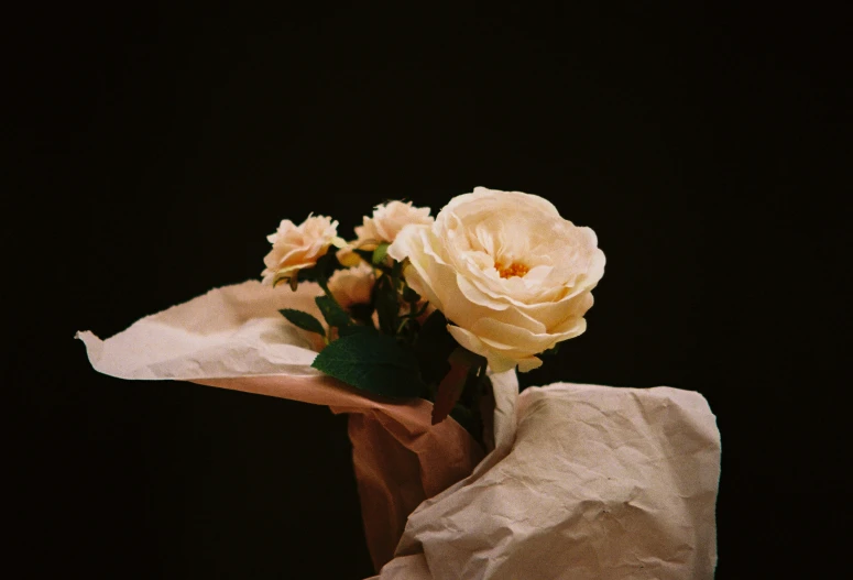 an image of yellow flowers in vase on black background