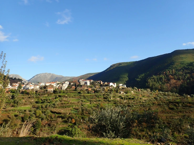 a hill with houses on it and mountain behind