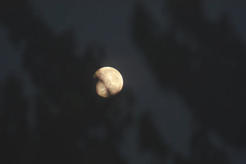 a full moon and a black background with no leaves on it