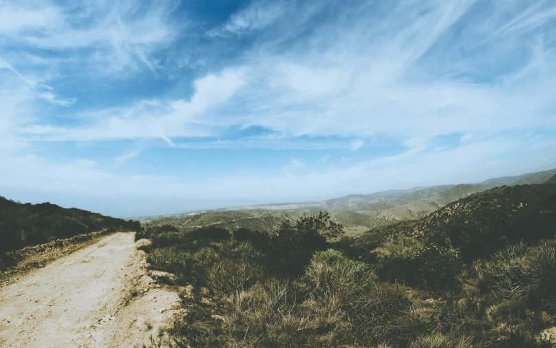 a dirt road winding to a valley with trees in the foreground