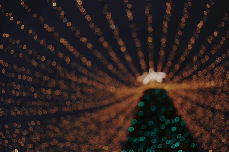 many small lights around a christmas tree