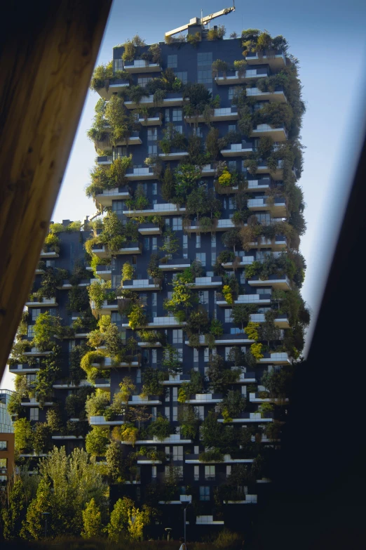 a tree filled building with windows and plants on the side