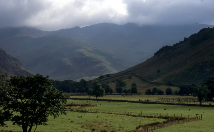 the farm area has several pasture areas in front of the mountains