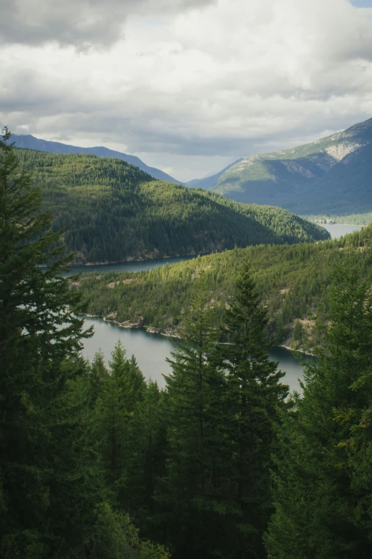 the valley is surrounded by tall green trees