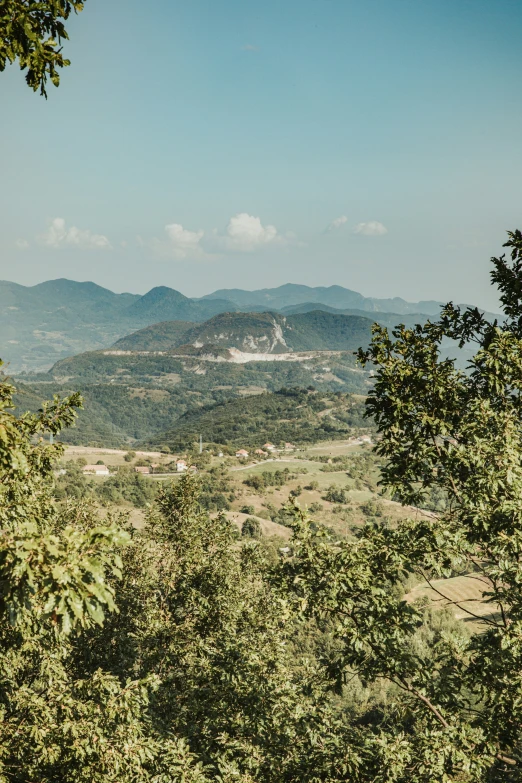 there are many trees in front of some mountains