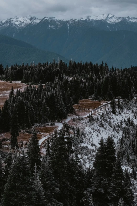 an uphill view of a mountain valley