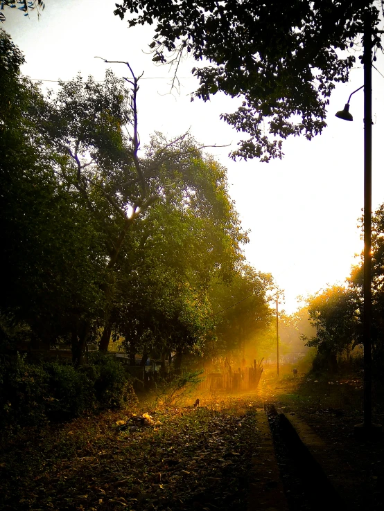 a street scene with sunrays coming down on the trees