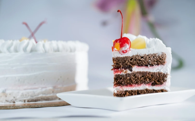 the chocolate cake has two layers with frosting