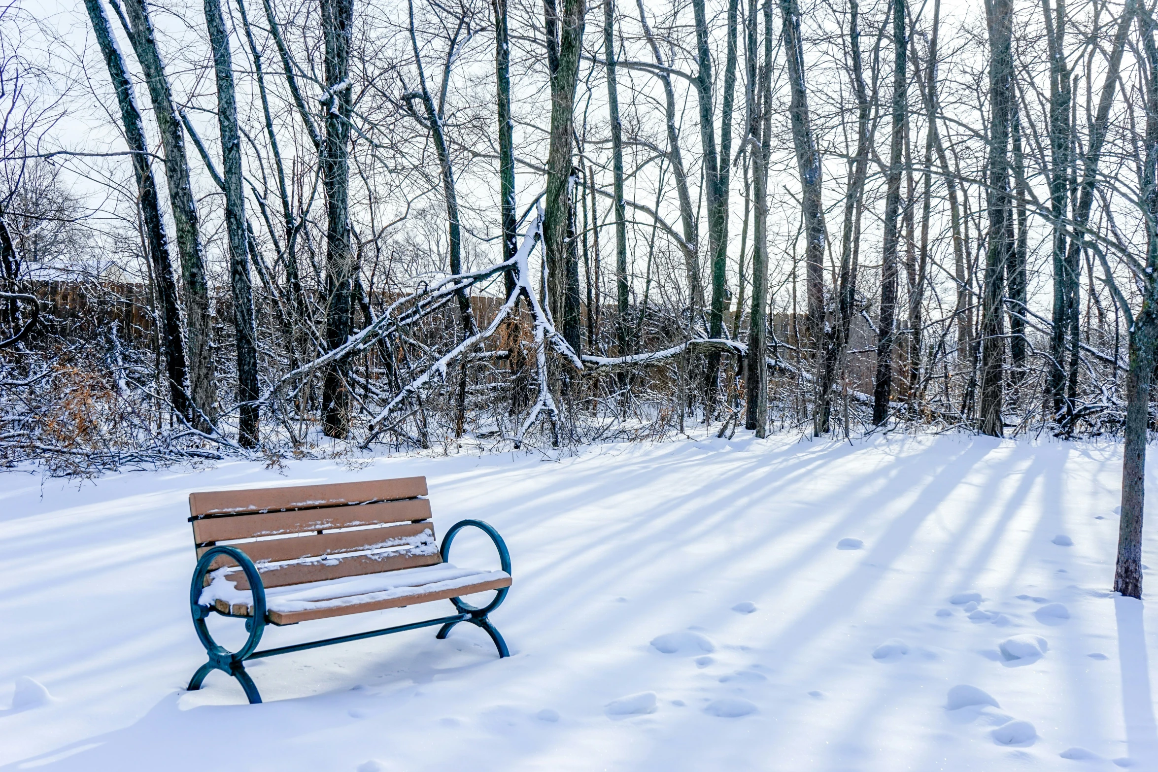 a park bench sitting on top of a snowy slope