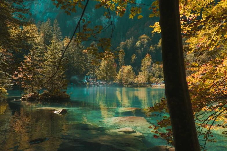 a lake surrounded by trees and a mountain