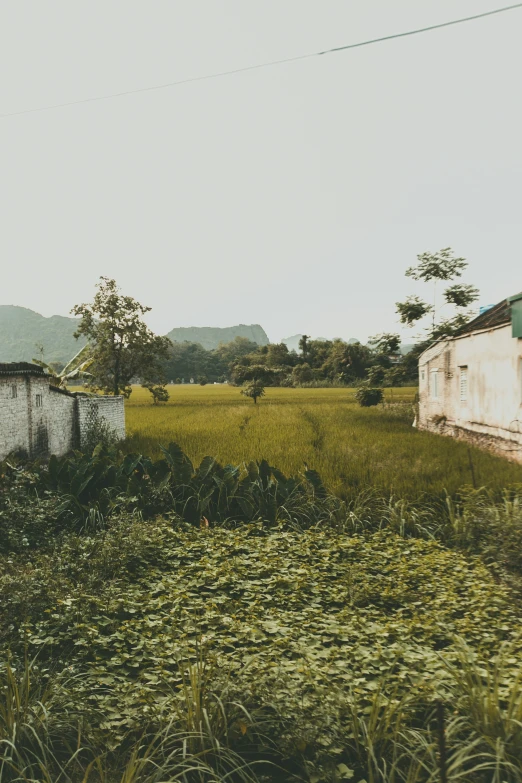 an old farm house in the middle of the field