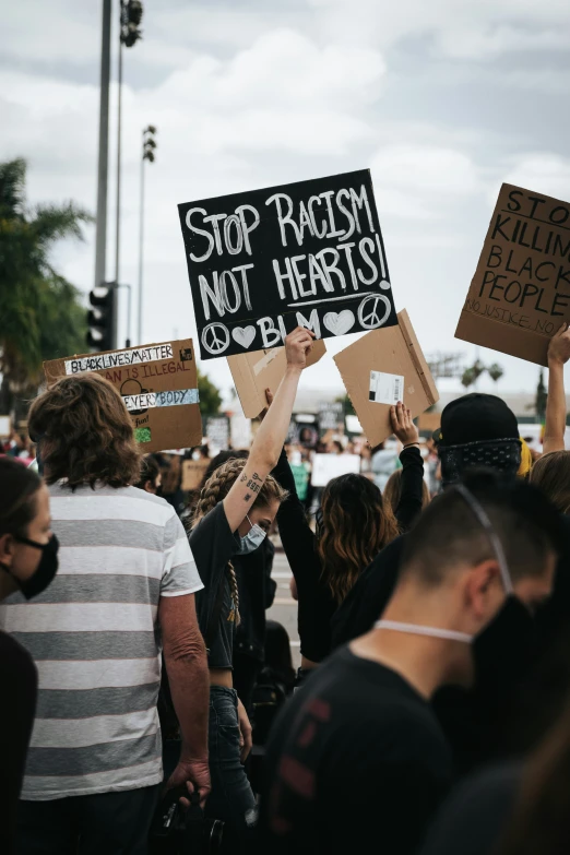 a large crowd holds signs during a protest