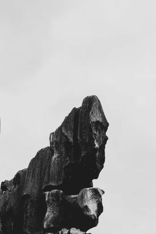 a large bird is sitting on top of the rock formations