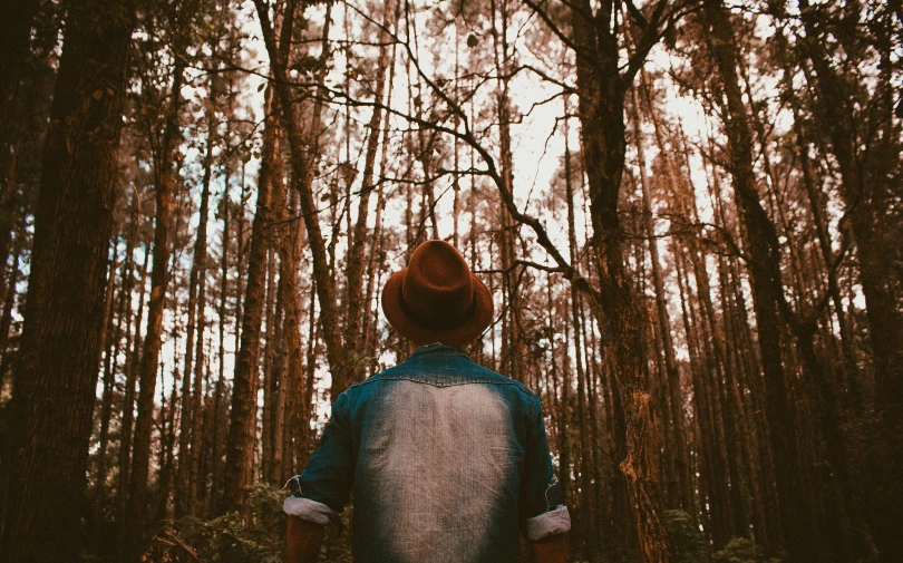 a man is walking through the woods in fall