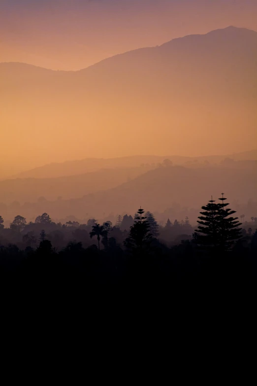 a airplane flies over some trees and a mountain