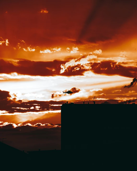 a bird flying against an orange sky above some buildings