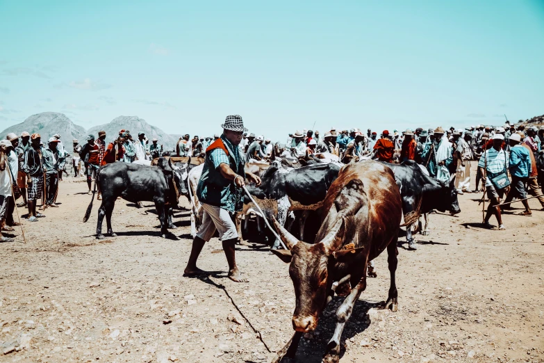 a group of people and some animals on the dirt