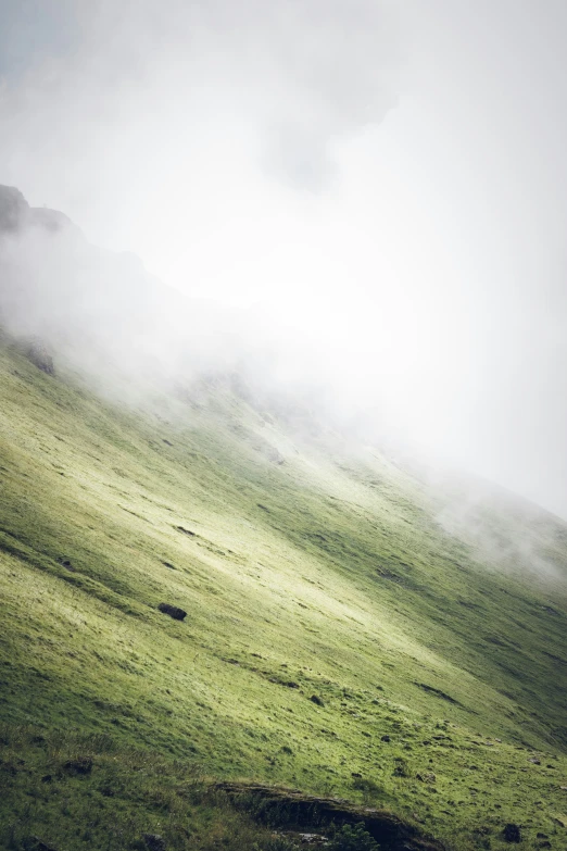 sheep grazing on the side of the mountain