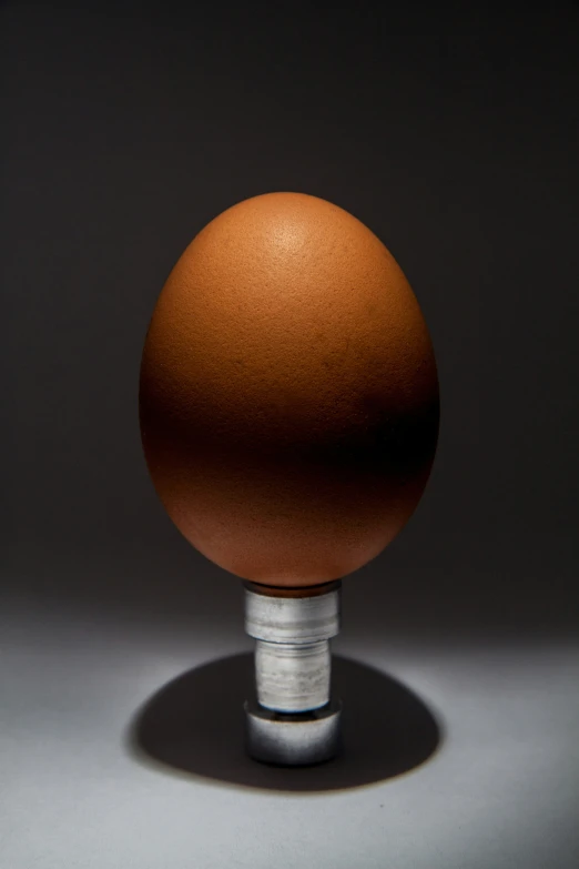 an egg sits on a bulb on a dark background