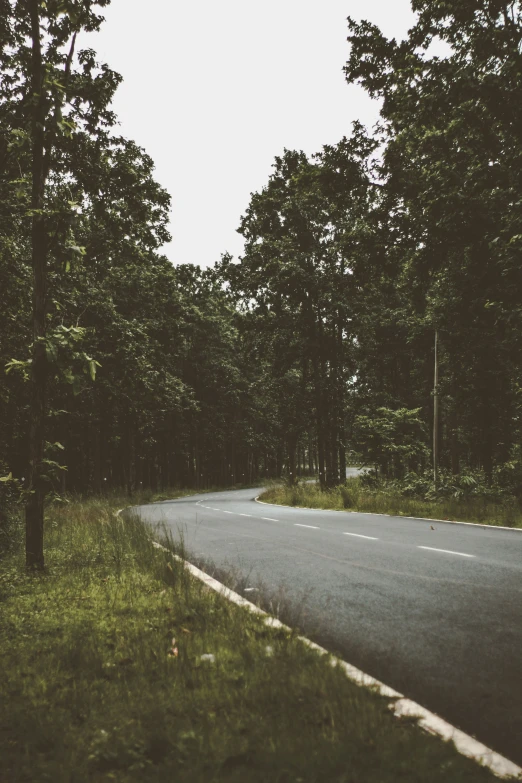 a road in the middle of trees leading towards the sky