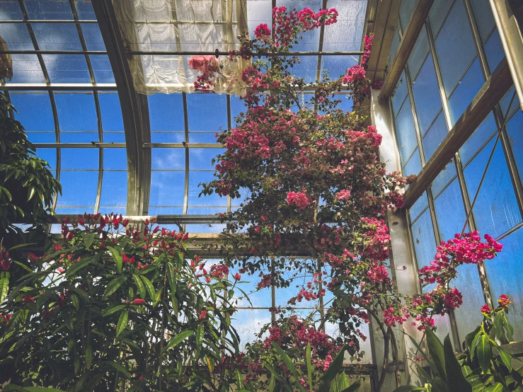 the interior of a home with flower and glass