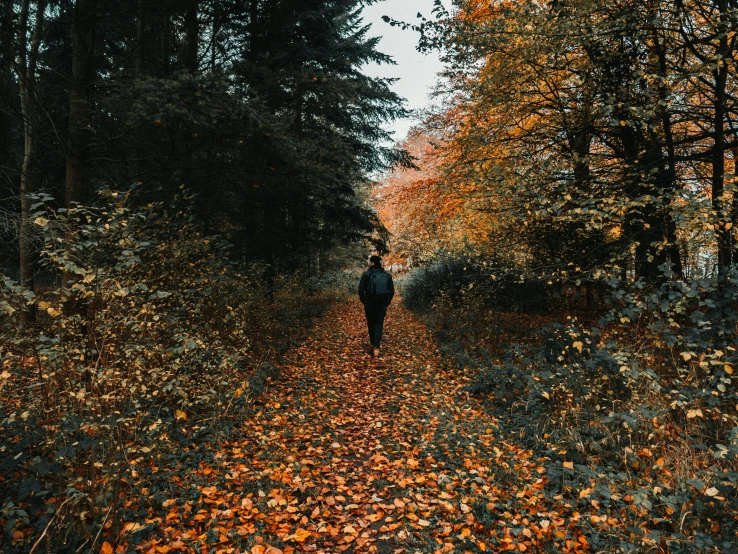 man walking on leaf covered path in park setting