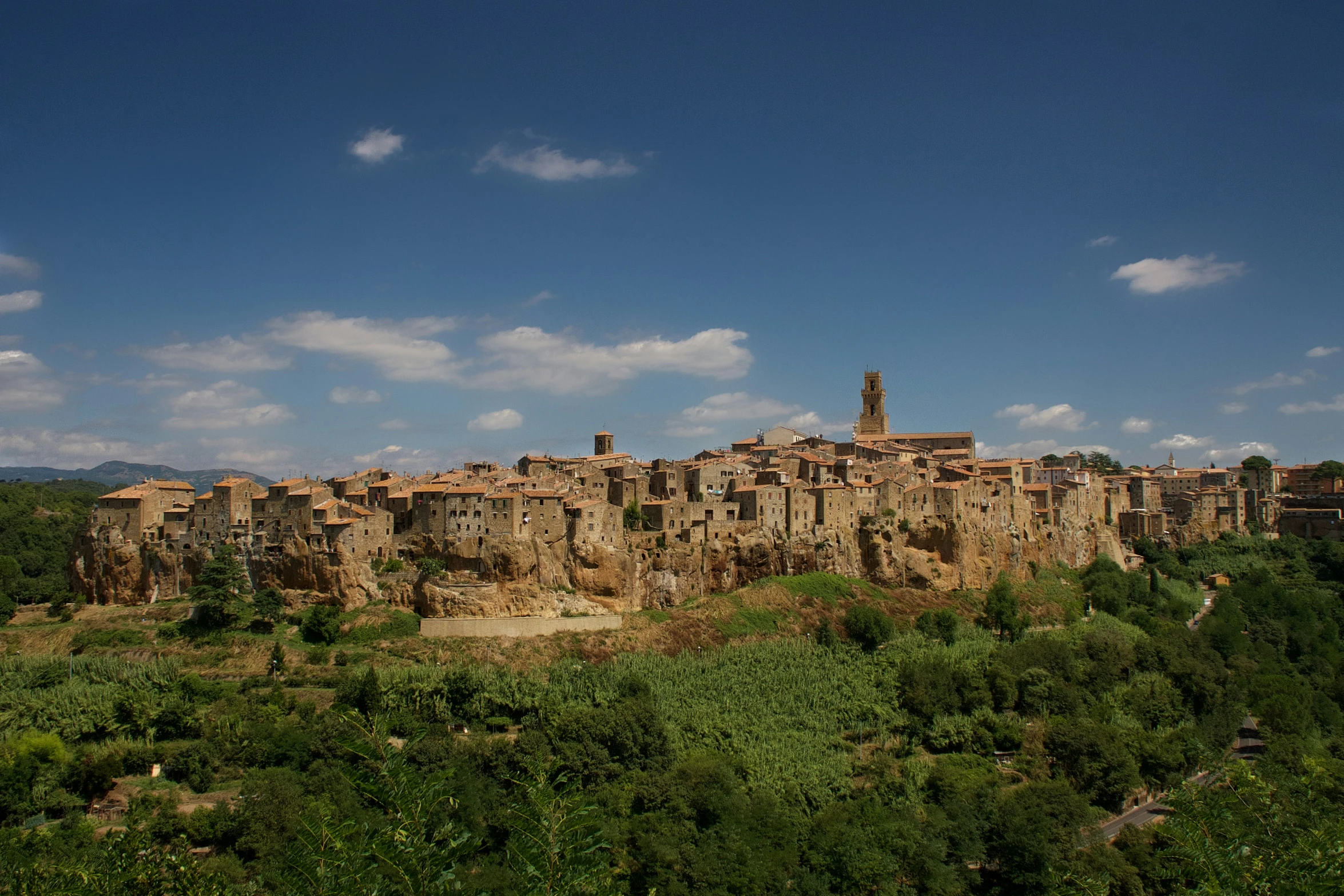 a village on top of a mountain with an elephant in the foreground