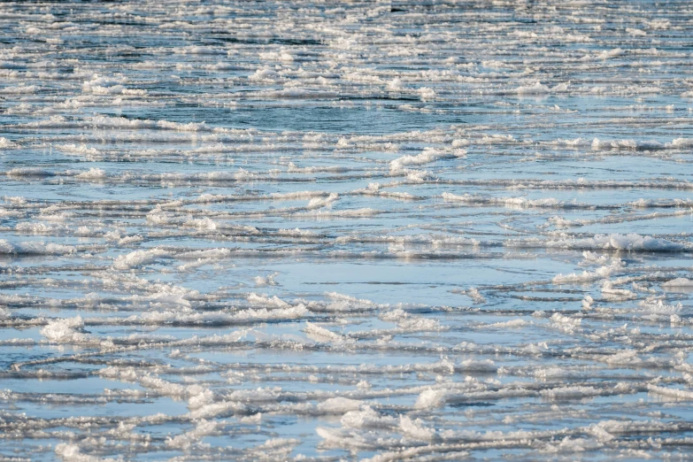 a lone bird stands alone on a large body of water