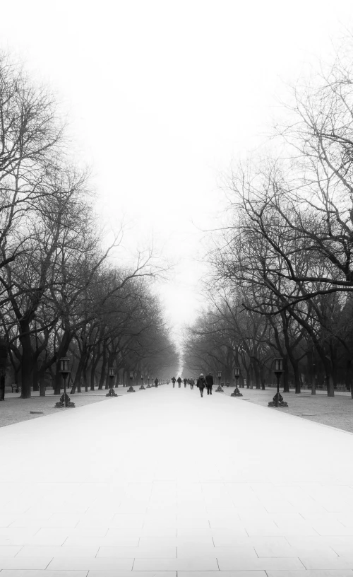 a road that has some trees and benches on it