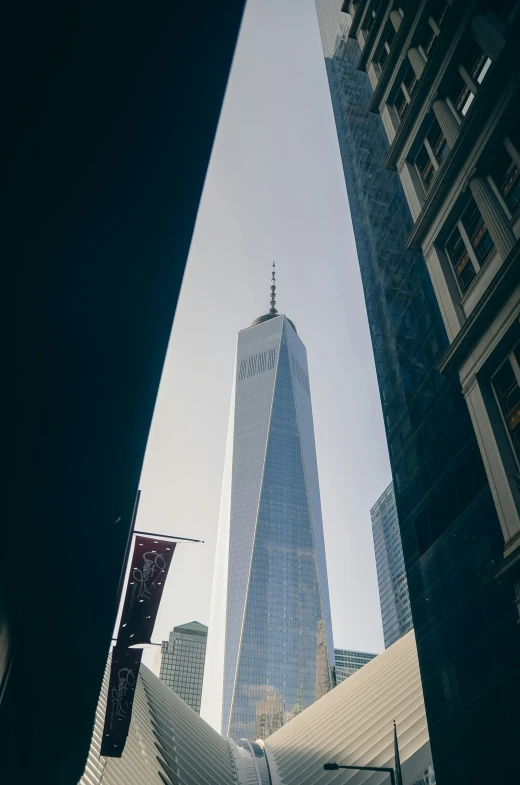 the buildings in the city have very tall glass