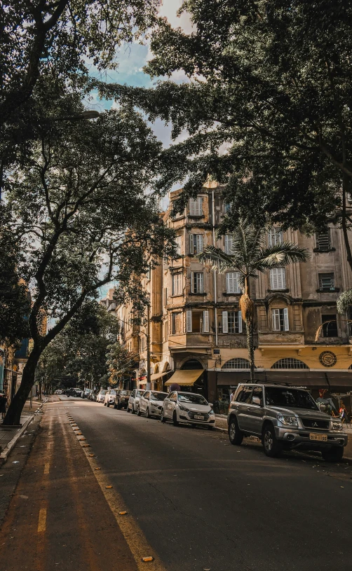 the street is lined with parked cars and trees