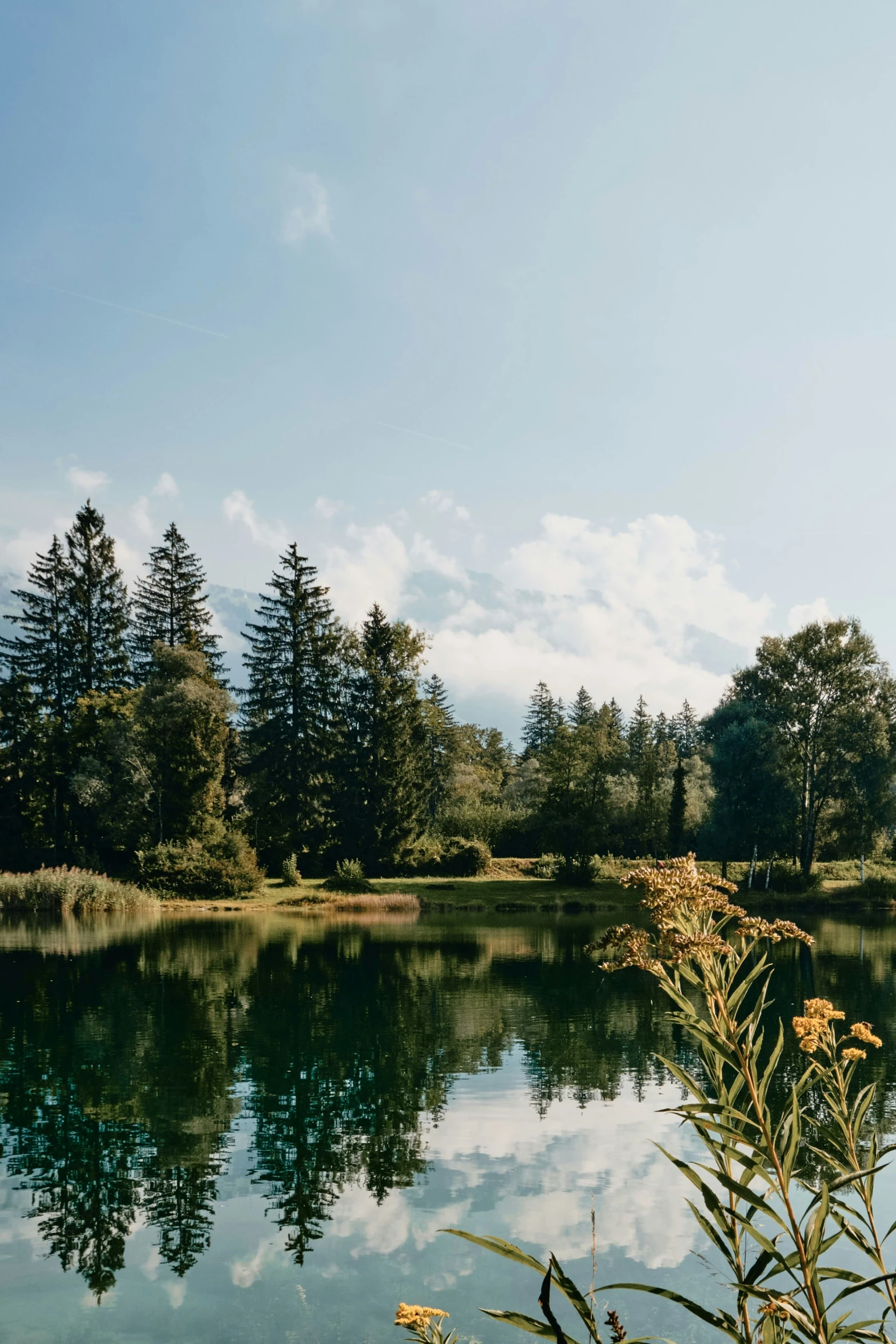 a calm lake surrounded by evergreens and clouds