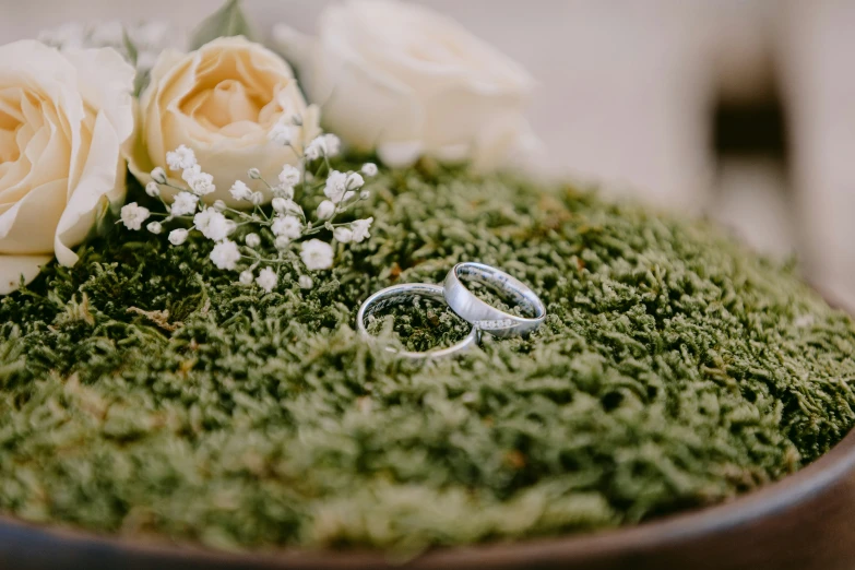 two wedding rings are setting on moss with flowers