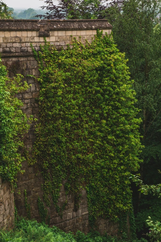 a brick structure with many plants growing over it