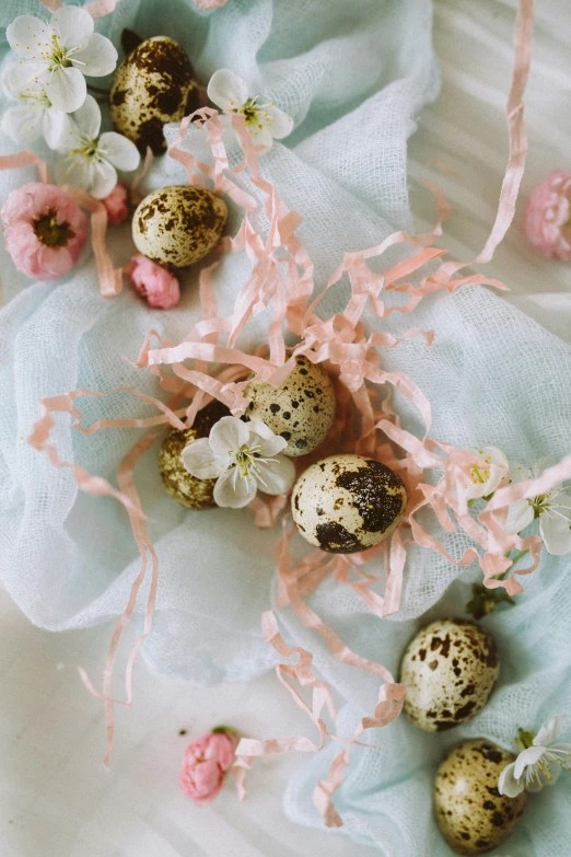 a blue cloth with some white and brown eggs