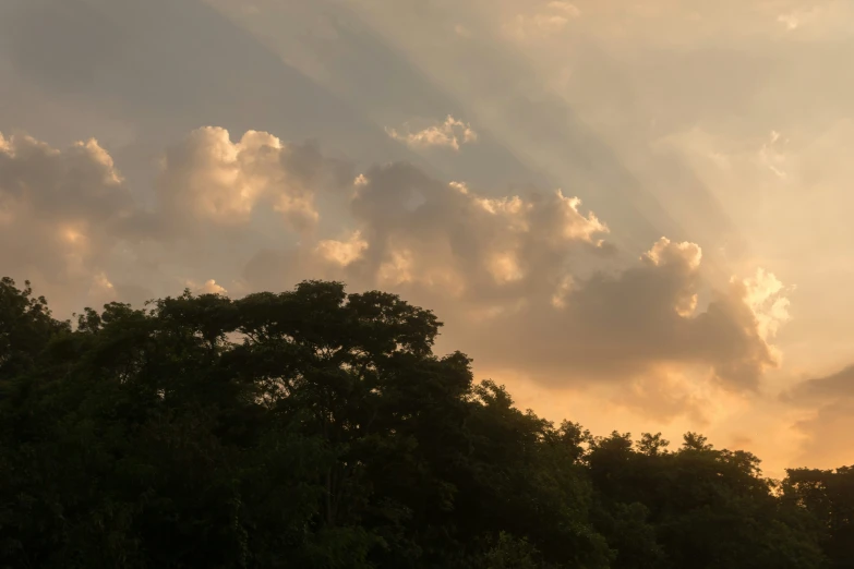 birds are flying in a cloudy sky at dusk