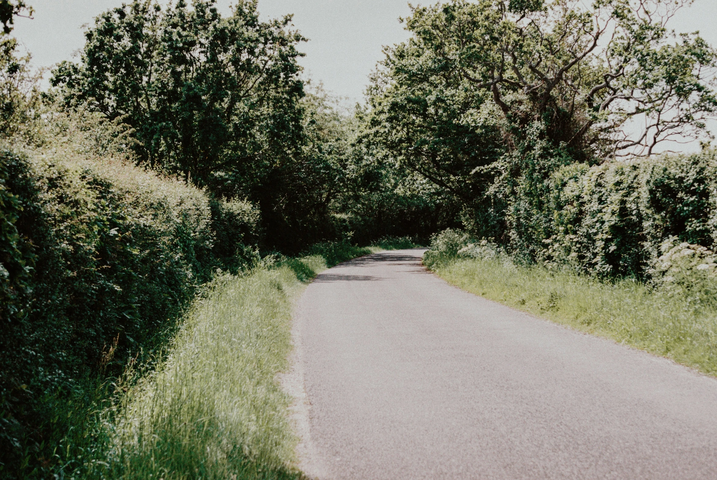 an image of a road going to the woods