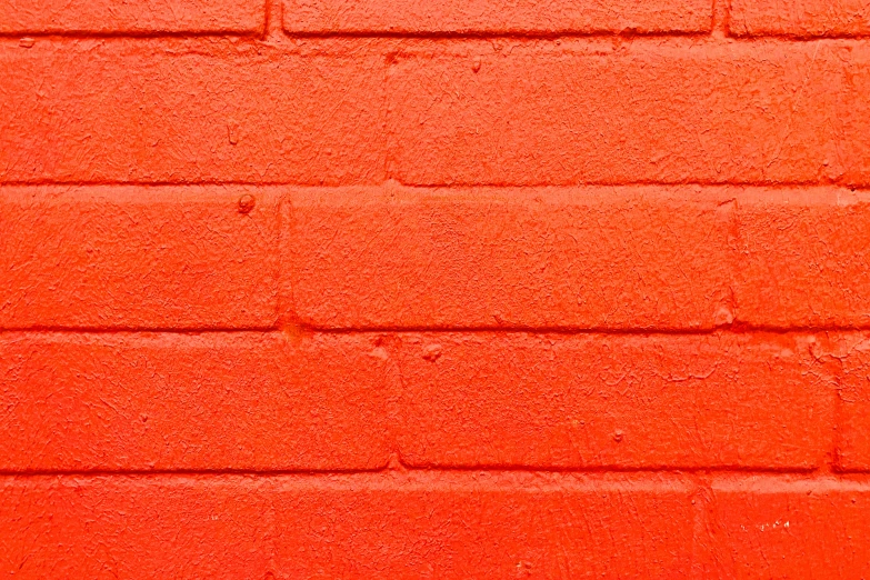 a black bird standing next to a brick wall