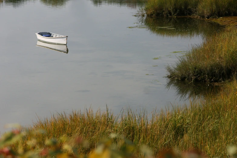 a small white boat in the middle of some shallow water