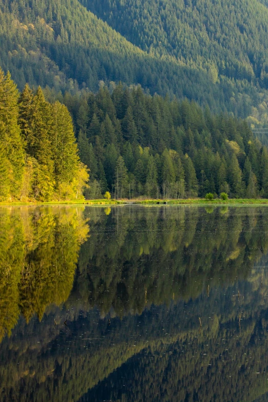 mountains surround the water that is reflecting trees