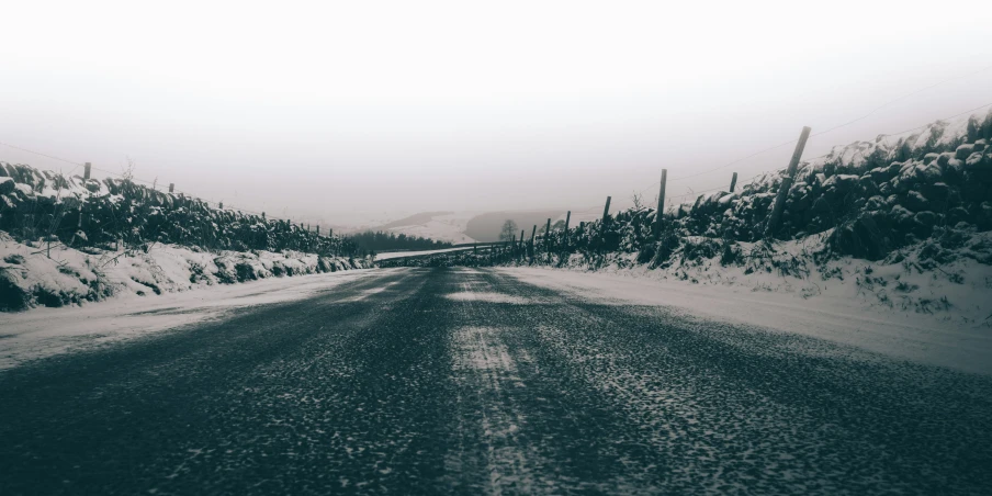 a black and white po of a road and trees