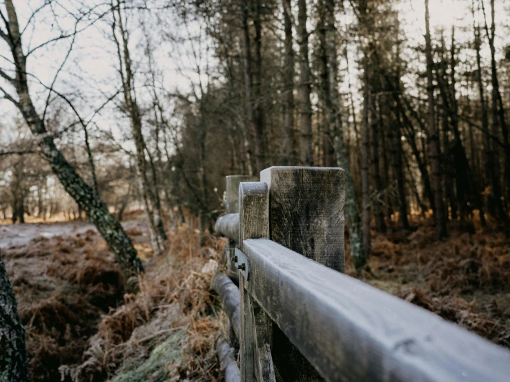 a bench sitting on the side of a road near trees