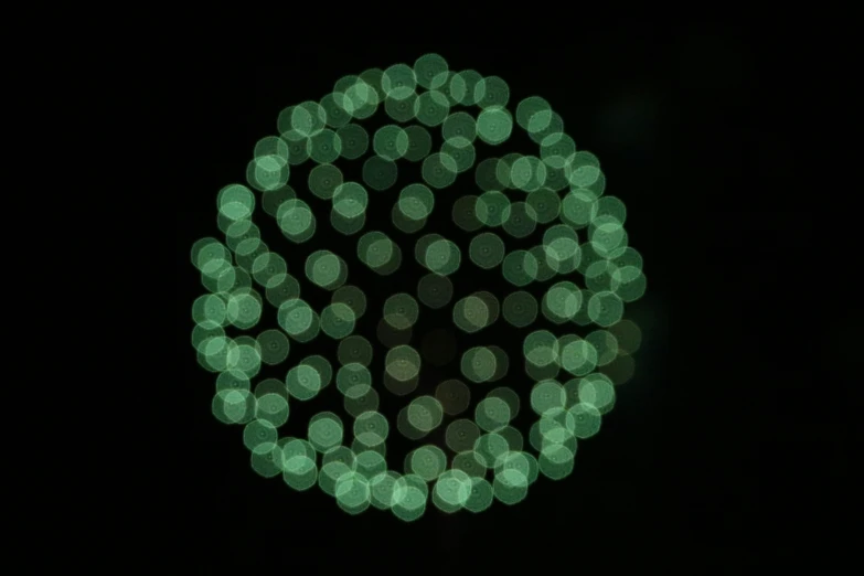 the blurry image shows many light circles