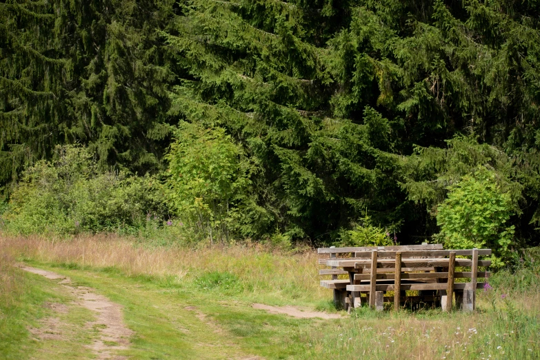 there is a bench sitting in the middle of a field