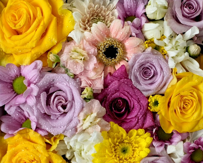 colorful flowers arranged together in a background