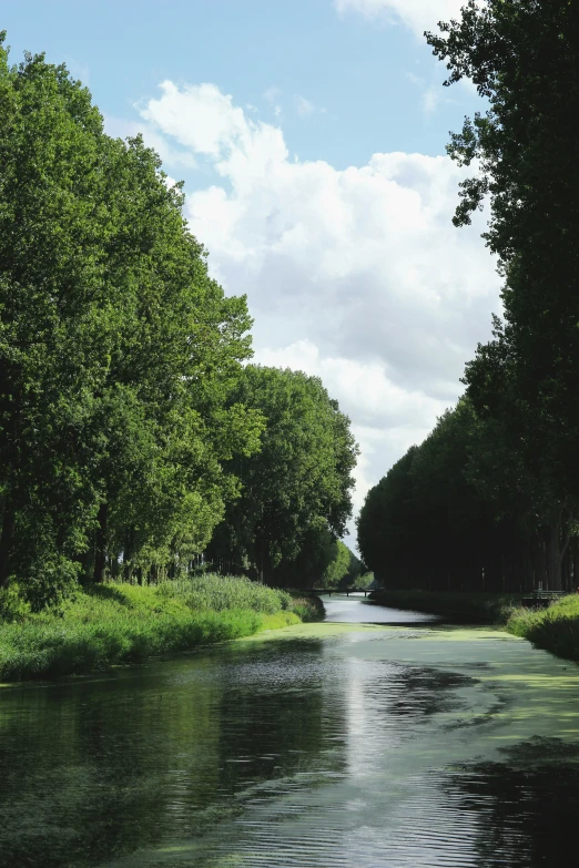 the view looking down a small river as it passes by