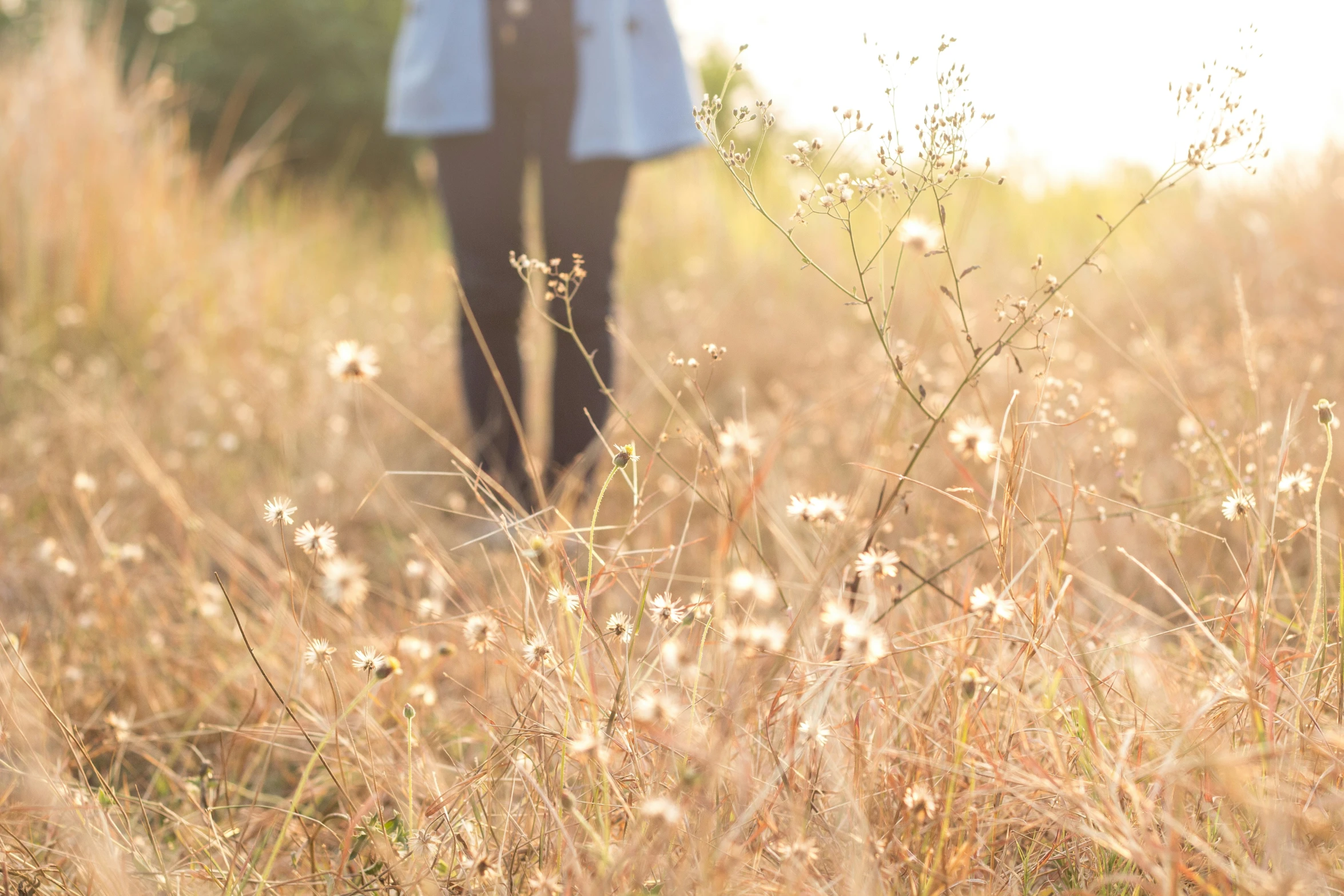 man walking in tall grass holding umbrella and cane