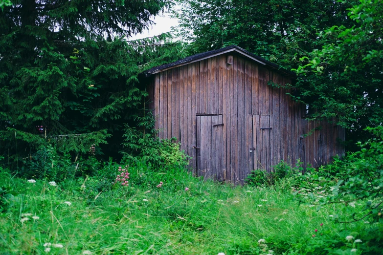 an outhouse in some kind of woods next to a trail