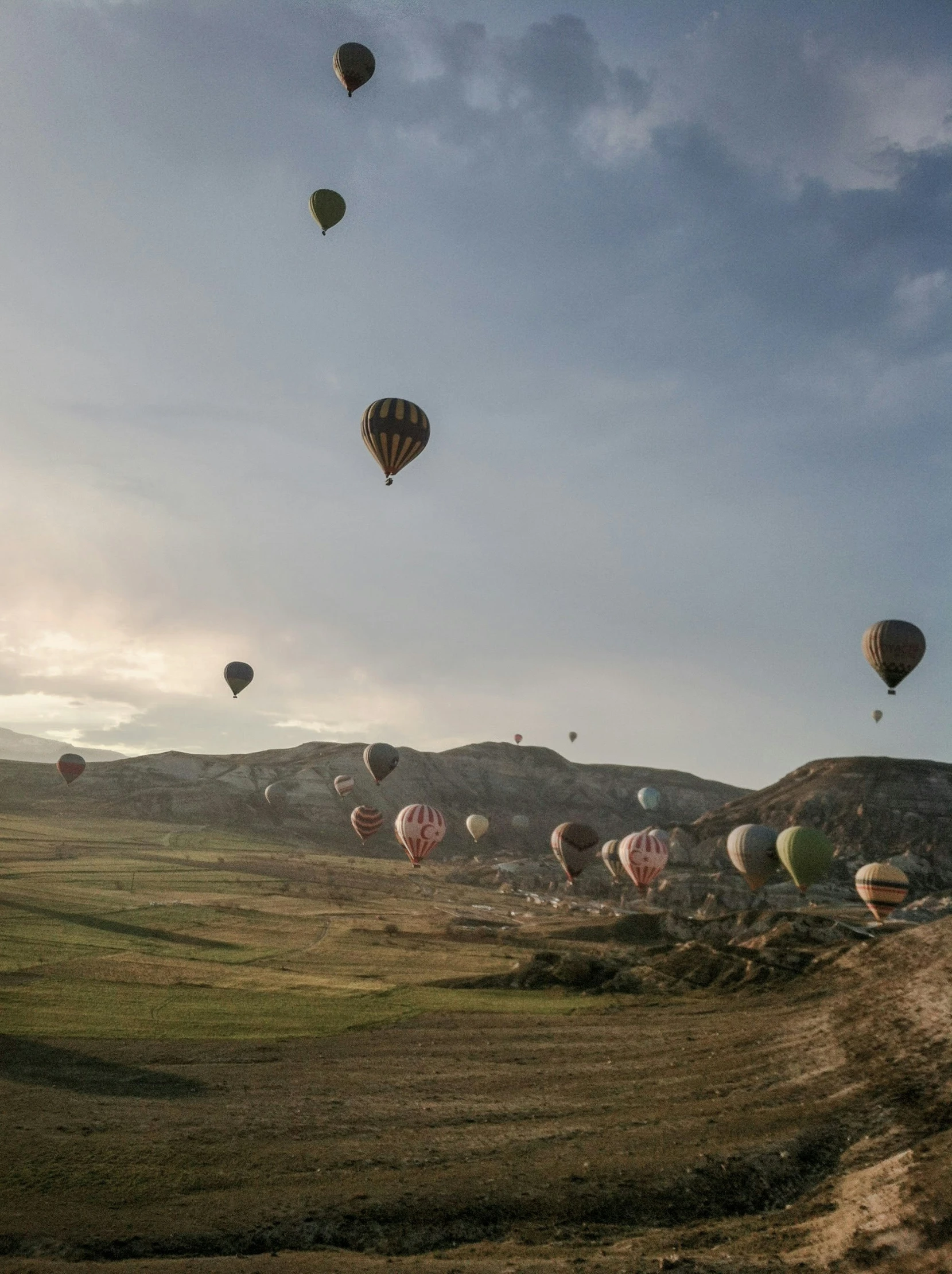 many  air balloons flying through the sky